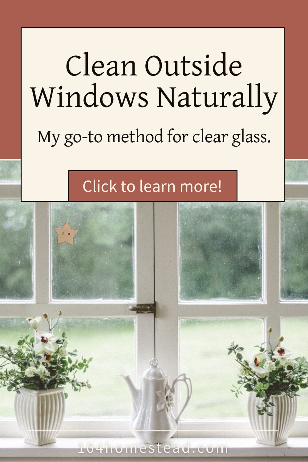 Pinterest-style graphic reading “Clean Outside Windows Naturally” above a bright kitchen window with potted plants and a white teapot on the sill.