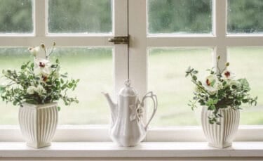 Clean exterior window letting in soft daylight, with white framed panes and small potted plants arranged on the windowsill.