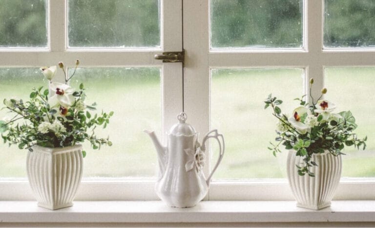 Clean exterior window letting in soft daylight, with white framed panes and small potted plants arranged on the windowsill.