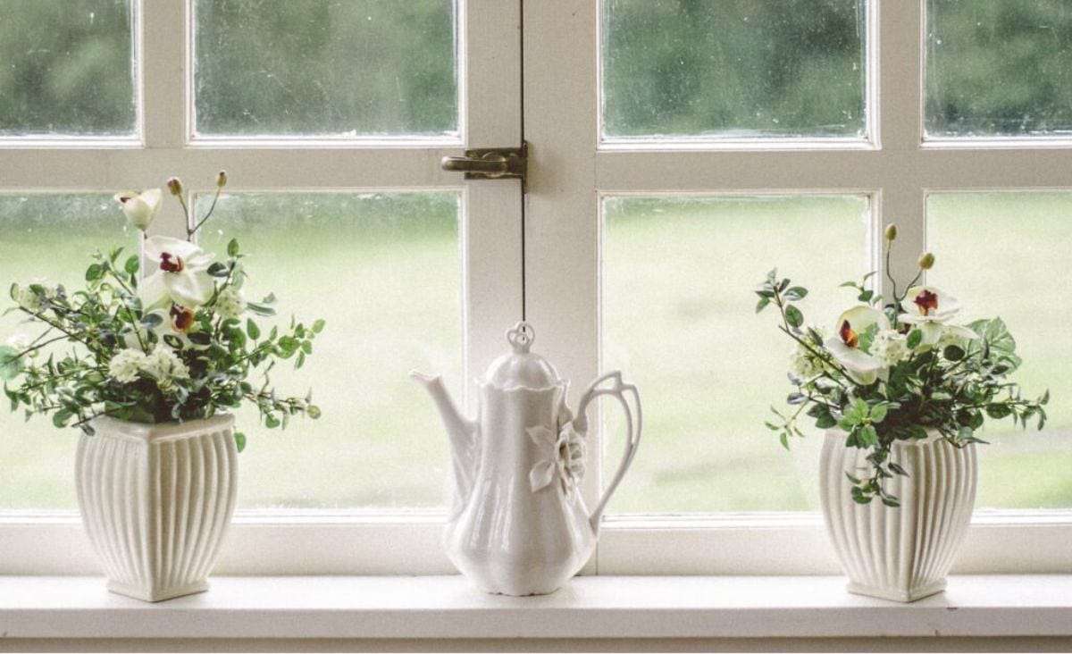 Clean exterior window letting in soft daylight, with white framed panes and small potted plants arranged on the windowsill.