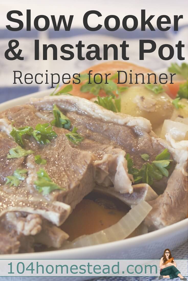 Some tips for using slow cookers and an Instapot, plus plenty of recipes to keep your dinners covered whenever the need arises. 