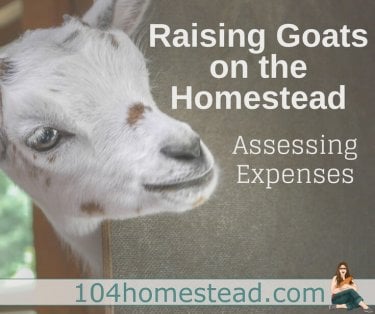 Many people aren’t raising goats to earn massive profit, but taking stock of cost versus benefit is essential to making the most of your time and money.