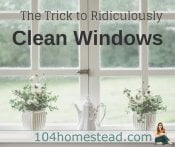 Window Washing: The Trick to Ridiculously Clean Windows
