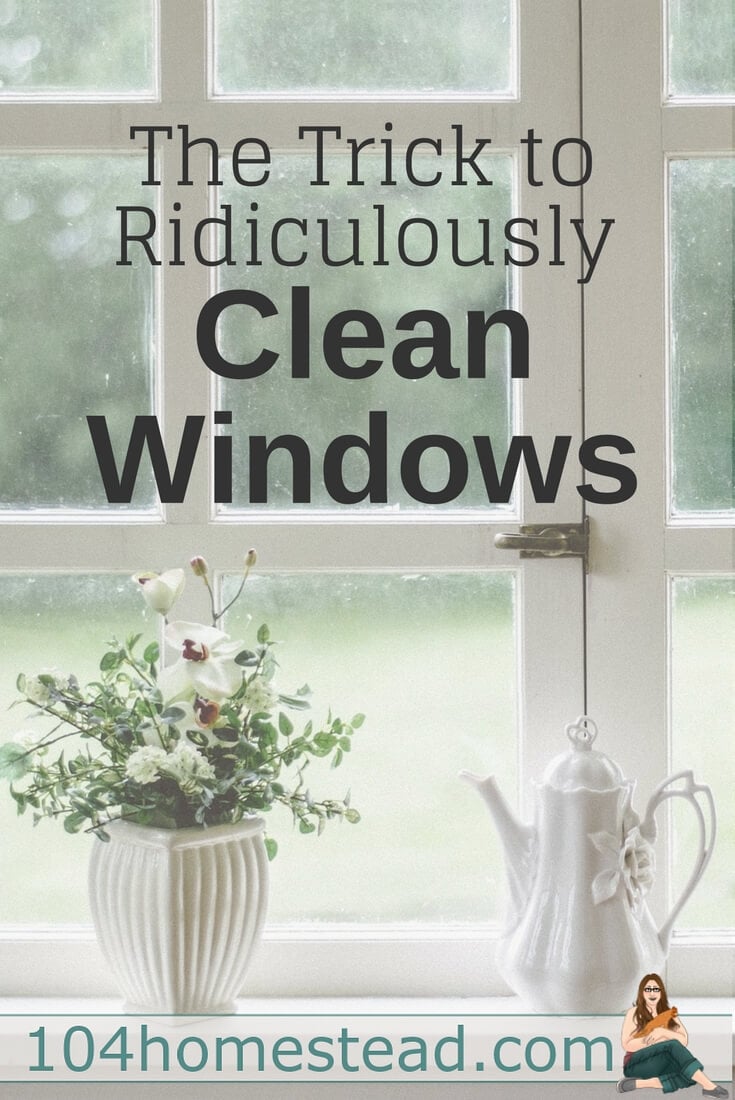 Window washing is the worst. It's laborious and you get the whole thing done and sit to relax only to realize there are streaks all over the place. Ugh.