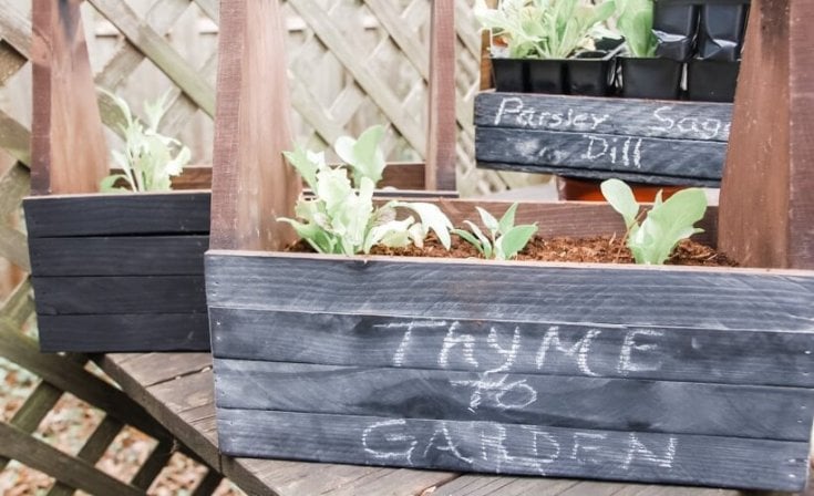 Need a simple and easy craft for this weekend? This DIY Chalkboard Planter is super easy and oh so cute! It's perfect for indoor herb gardens to cheer up your home during the long cold garden-free winter.