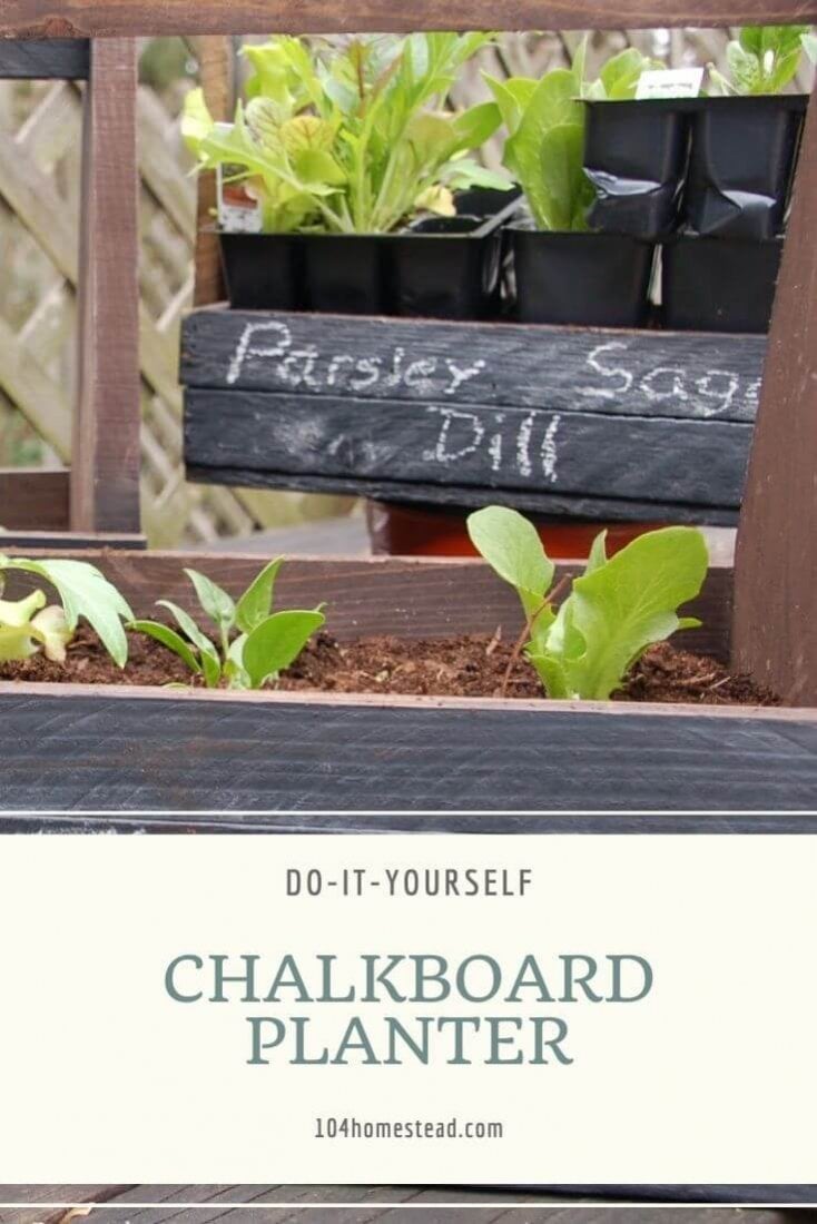 Need a simple and easy craft for this weekend? This DIY Chalkboard Planter is super easy and oh so cute! It's perfect for indoor herb gardens to cheer up your home during the long cold garden-free winter.