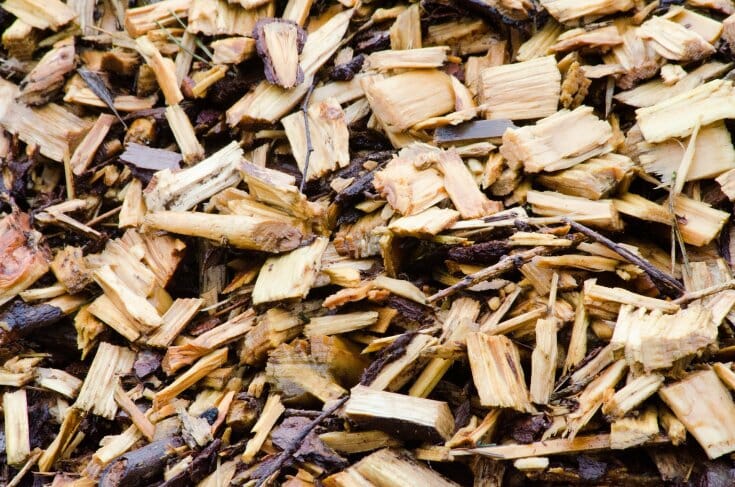 Wood chips in various sizes and colors, as well as twigs and leaves, in the back to eden garden.