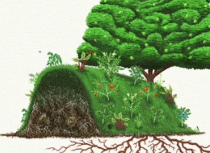 Hugelkultur: Permaculture Raised Beds