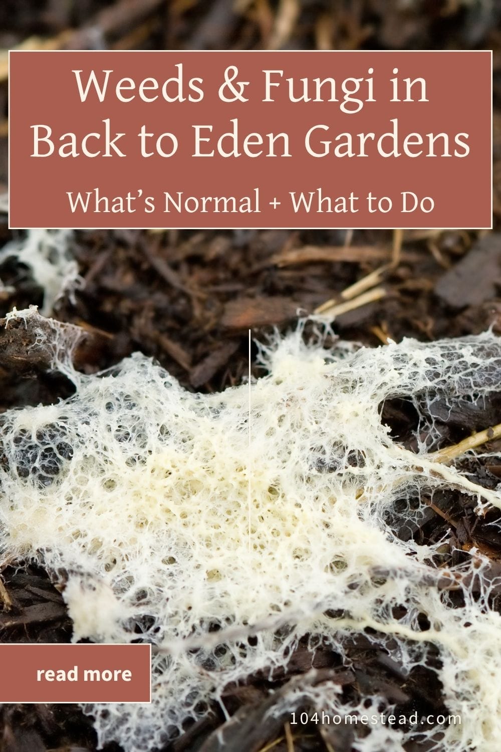 Pinterest pin showing white slime mold growing in a Back to Eden garden, with the title “Weeds & Fungi in Back to Eden Gardens: What’s Normal + What to Do.”