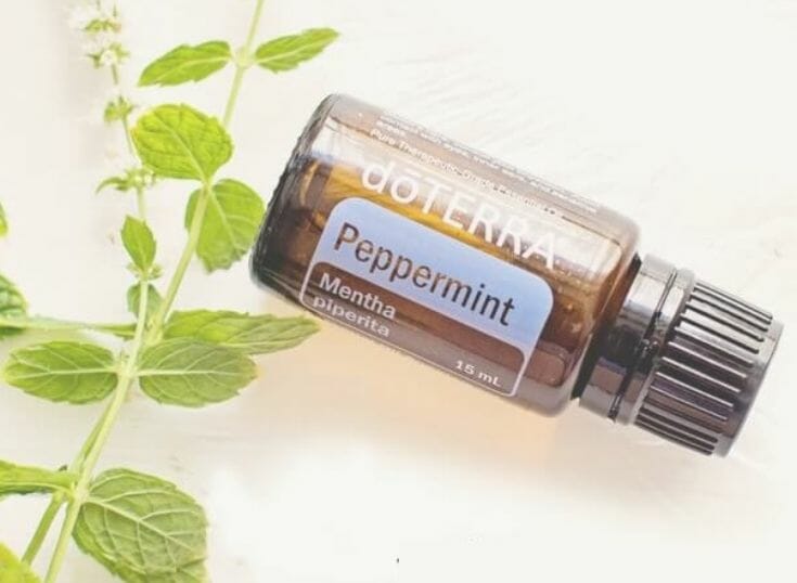 A bottle of peppermint DoTerra oil sitting on a white table next to fresh mint sprigs.
