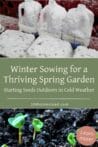 Snow-covered milk jugs repurposed as mini greenhouses for winter sowing, sitting outdoors in a winter garden setting.