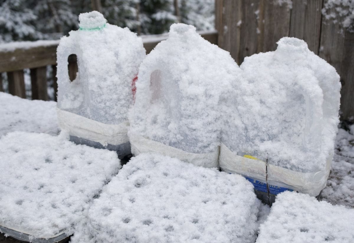 Milk jugs used as winter sowing containers sitting outdoors on a deck, covered in fresh snow during winter weather.