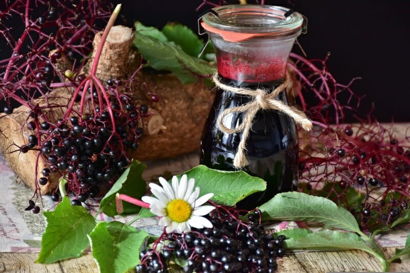 A fido jar of elderberry syrup with twine wrapped around it. Jar is surrounded by fresh elderberries, elder leaves, and a couple of elder flowers.