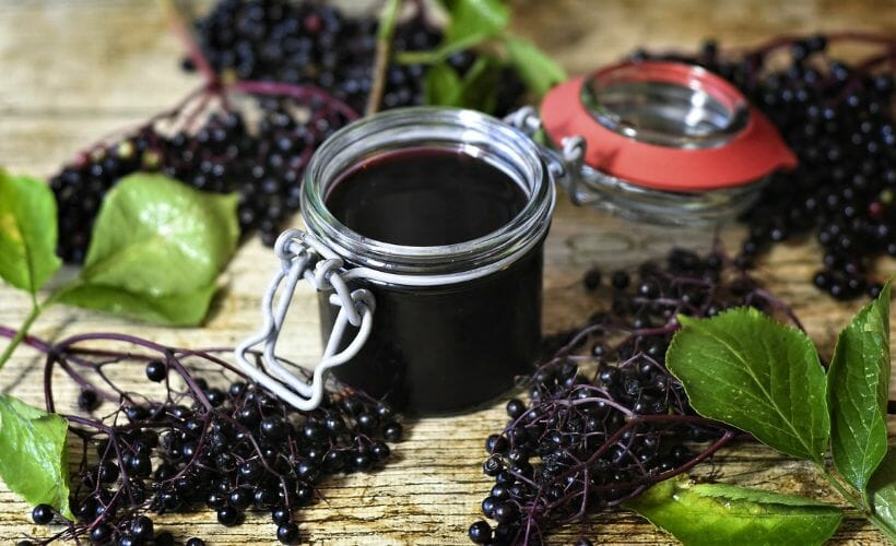 An open fido jar of elderberry syrup. Jar is surrounded by fresh elderberries and elder leaves.