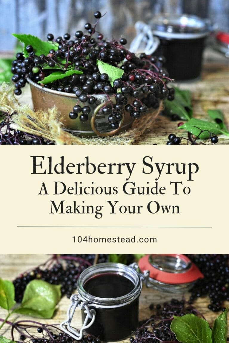 A Pinterest-friendly image of elderberries and completed elderberry syrup.