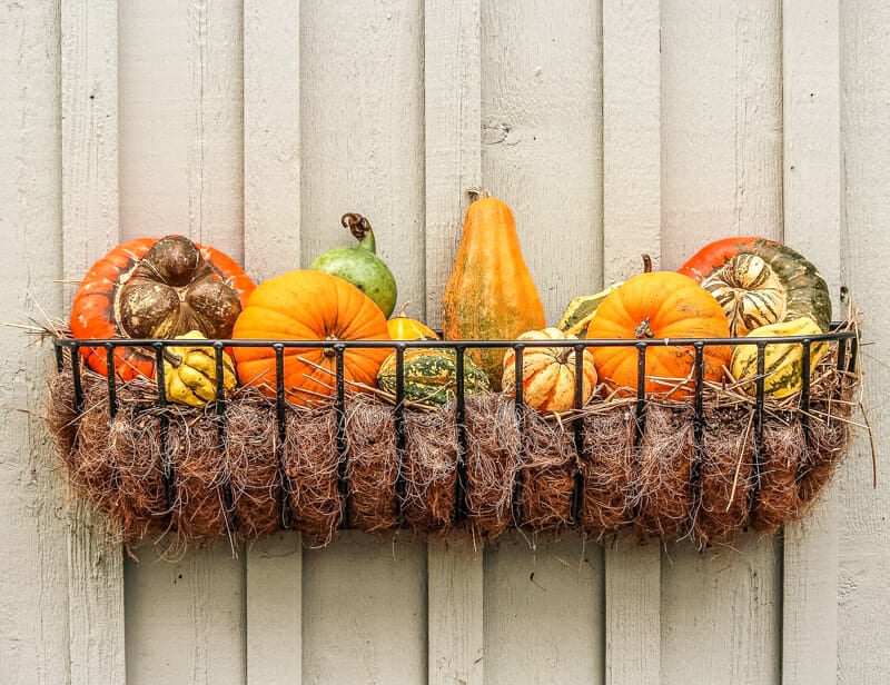 Gourds handing in a window box on the side of the barn.