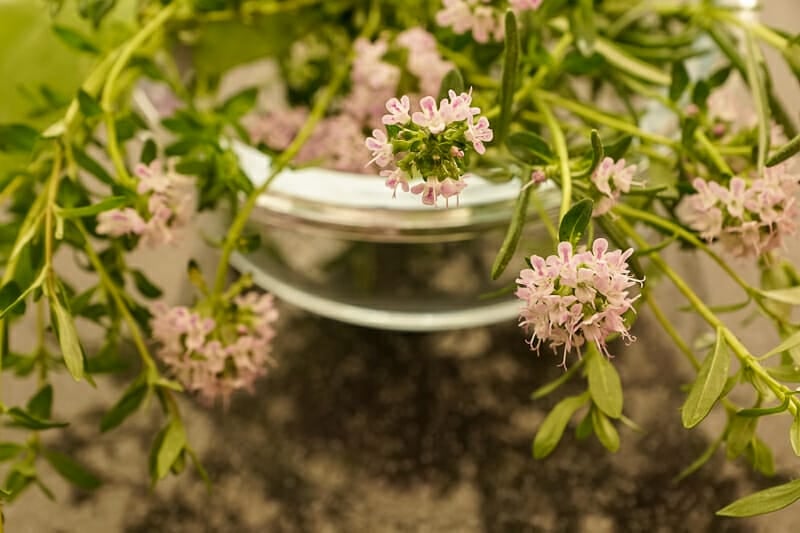 A bowl of fresh thyme sprigs with purple flowers.