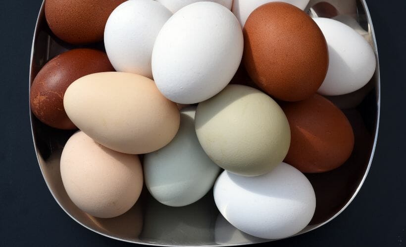A bowl filled with eggs in different colors.