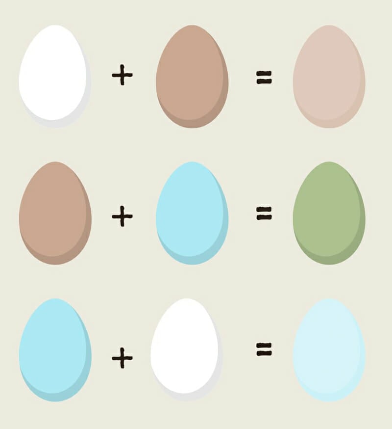 A basic chart of what color you get when you mix basic egg colors.