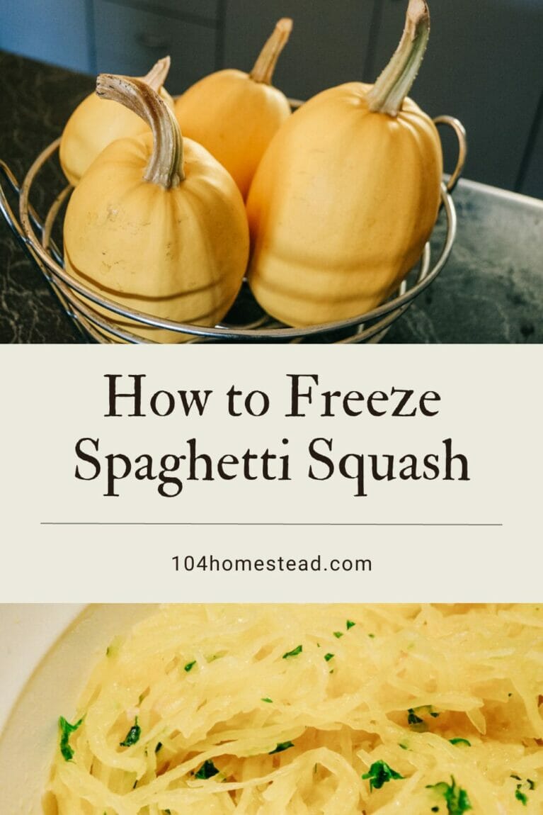 A pinterest-friendly image of spaghetti squash whole and cooked.