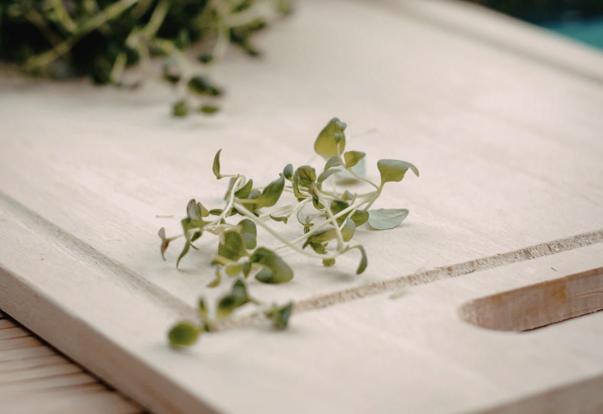 Fresh thyme sprigs on a light cutting board, ready to be used for the herbal infusion in homemade cough syrup.