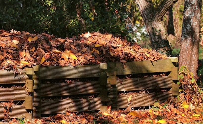 A wooden bin filled with autumn leaves breaking down to become leaf mold.