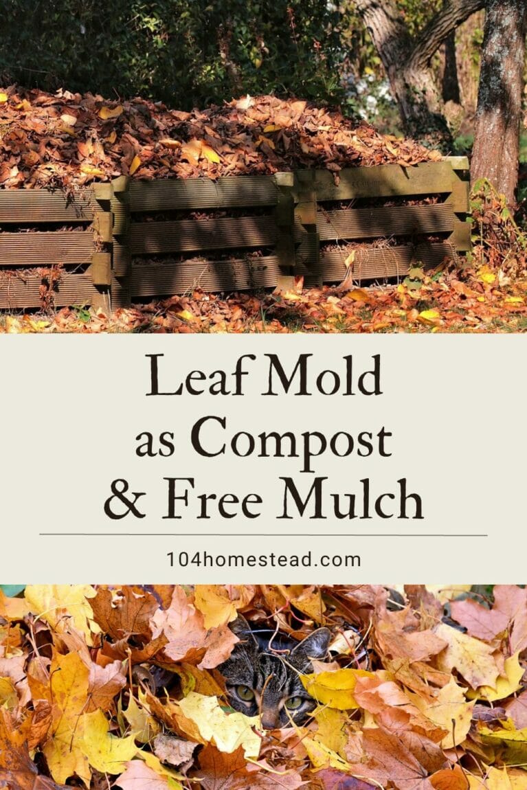 A pinterest-friendly image for leaf mold.
