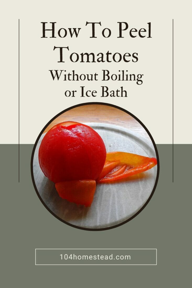 How to Peel Tomatoes Without Boiling or Ice Bath An Easy and Fast Method