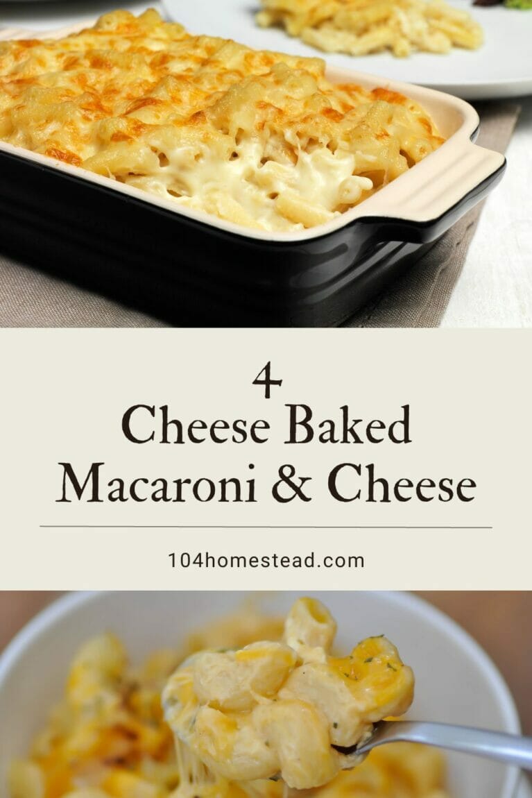 A pinterest-friendly graphic promoting my four cheese baked macaroni and cheese recipe.