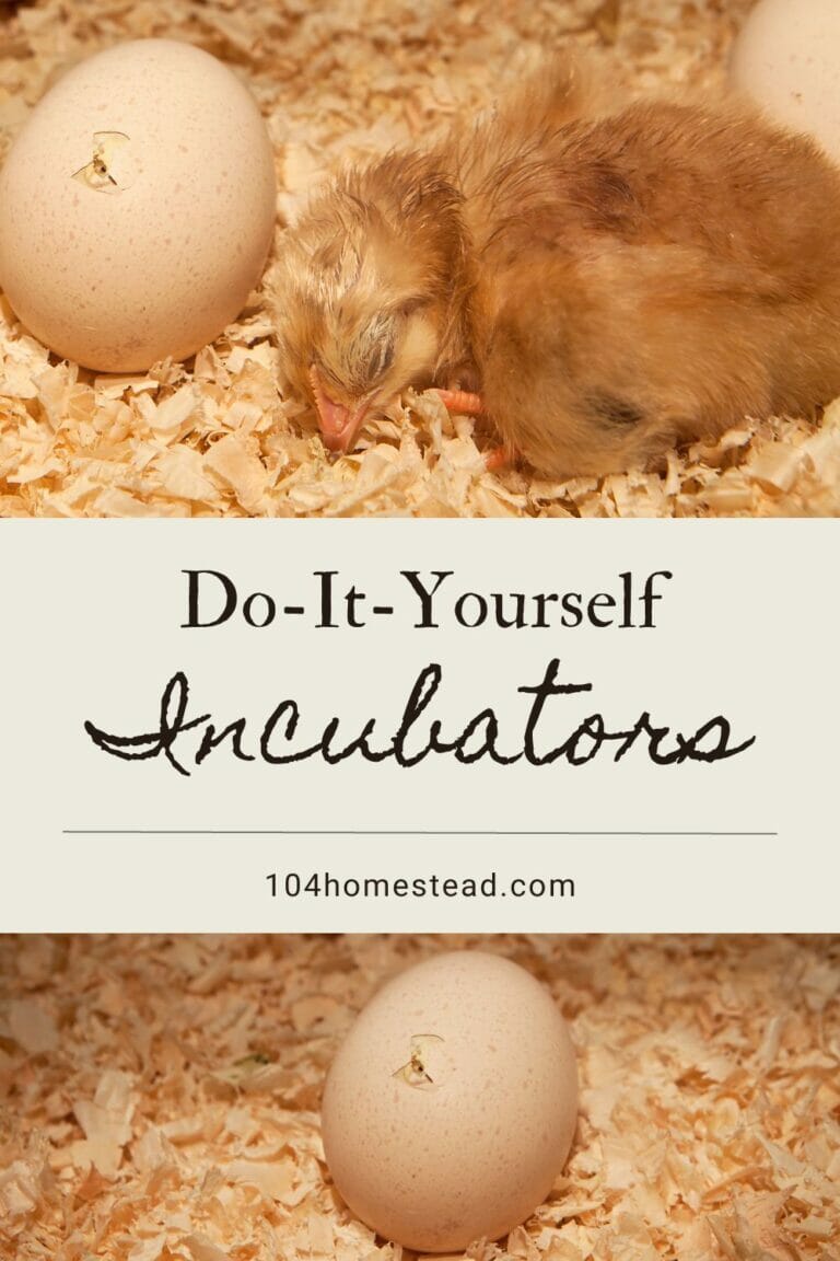 Do-it-Yourself Chicken Egg Incubator Ideas For Less Than $50