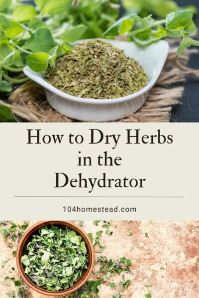 How to Dry Your Homegrown Herbs Quickly & Easily with a Dehydrator