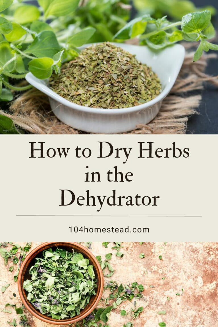 How to Dry Your Own Herbs in a Dehydrator - Roots & Boots