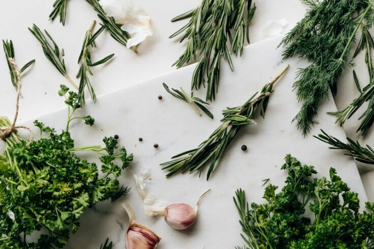 How to Dry Your Homegrown Herbs Quickly & Easily with a Dehydrator