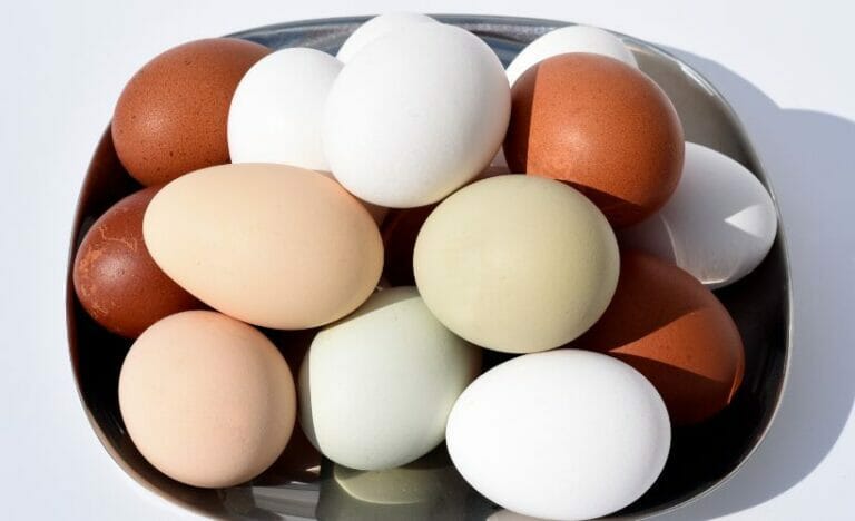 Egg Anatomy: What Makes the Eggshells Different Colors