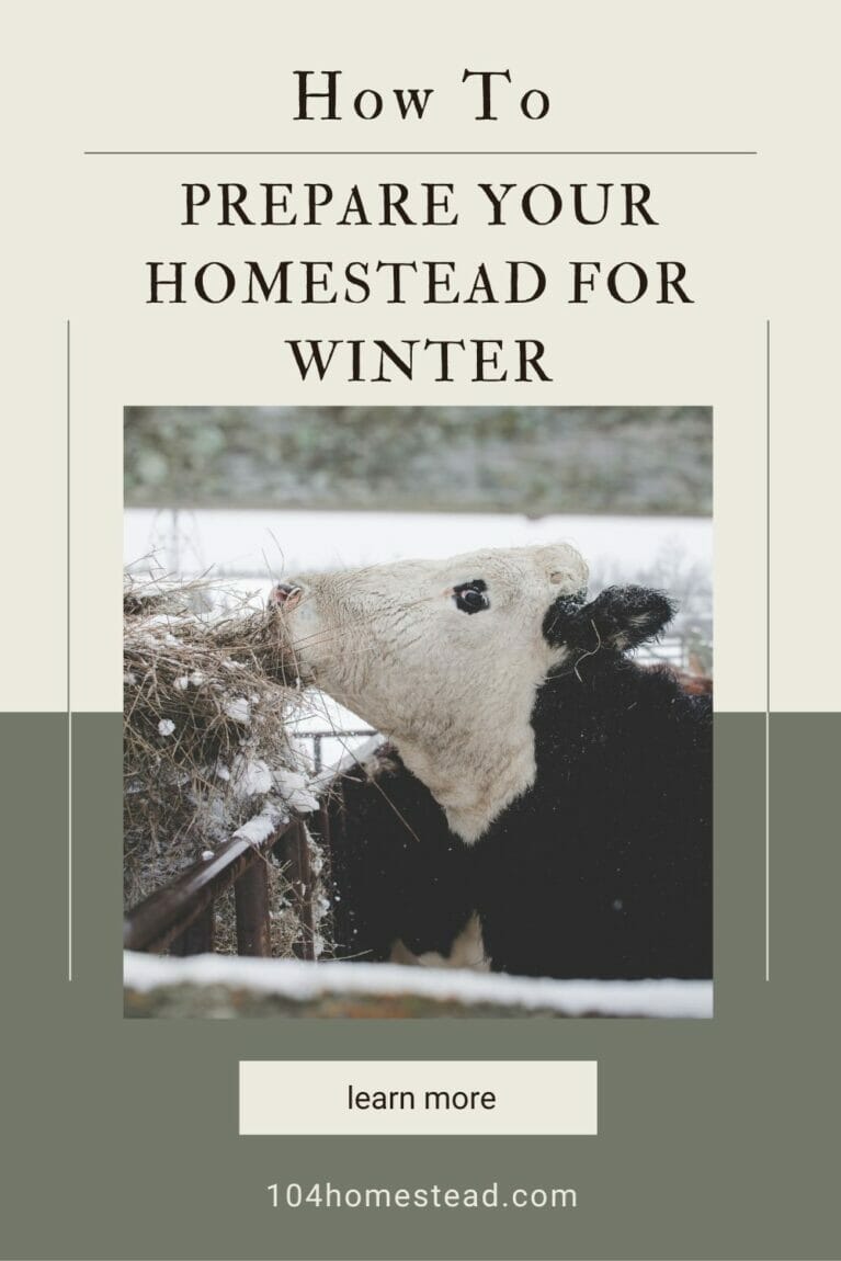 A pinterest-friendly graphic promoting preparing your homestead for winter.