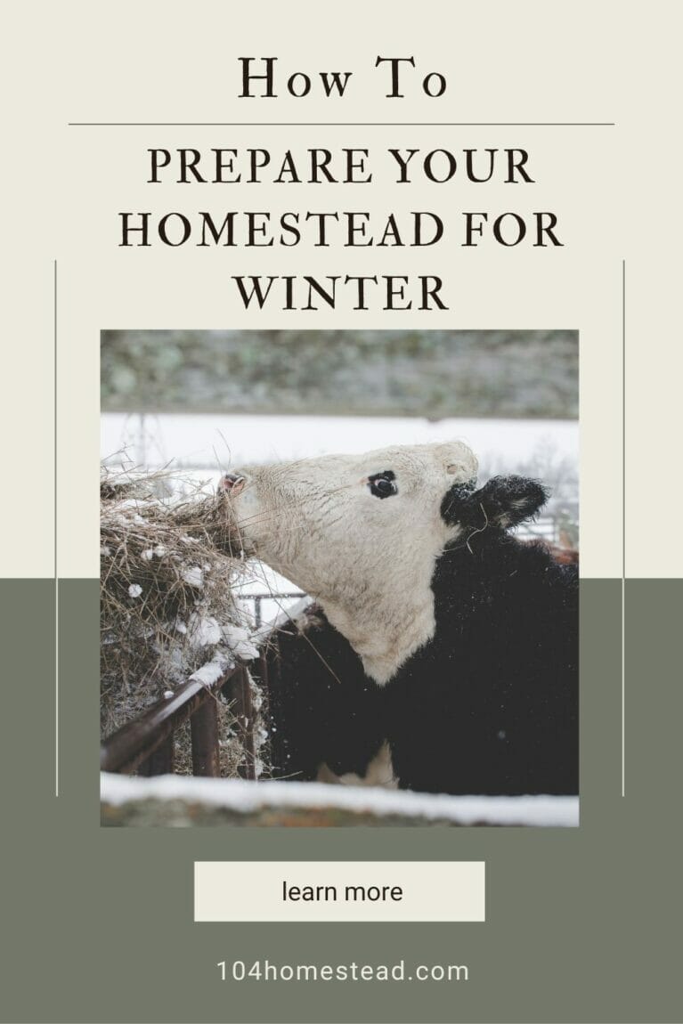 Preparing for Winter on the Homestead- Dehydrating Food