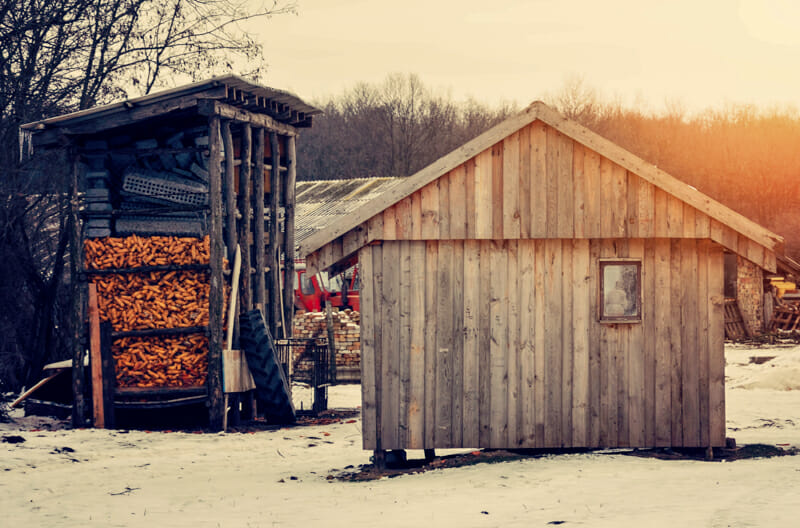 The back of the chicken coop and the firewood storage shed.