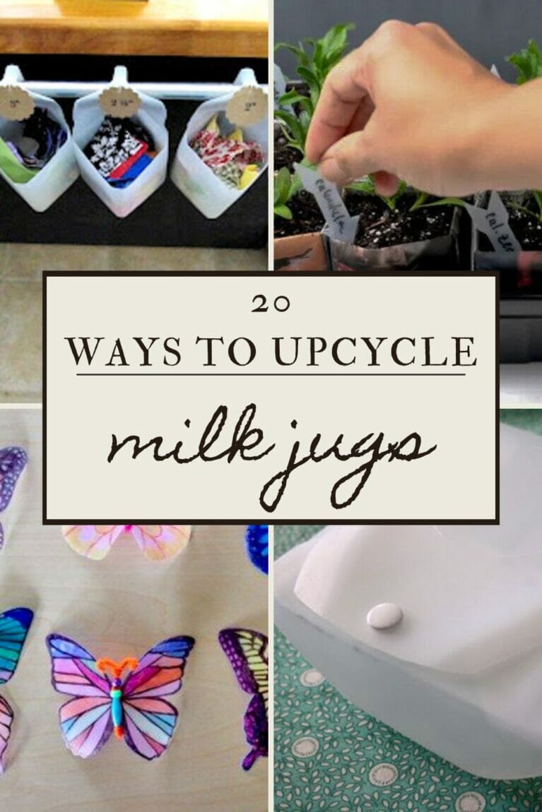 Milk Jug Ideas