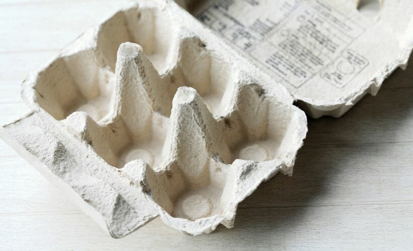 An empty egg carton sitting on the countertop.