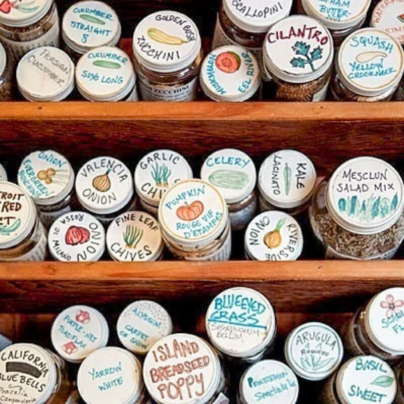 A bunch of pill bottles on their sides with the names of seeds written on their lids.