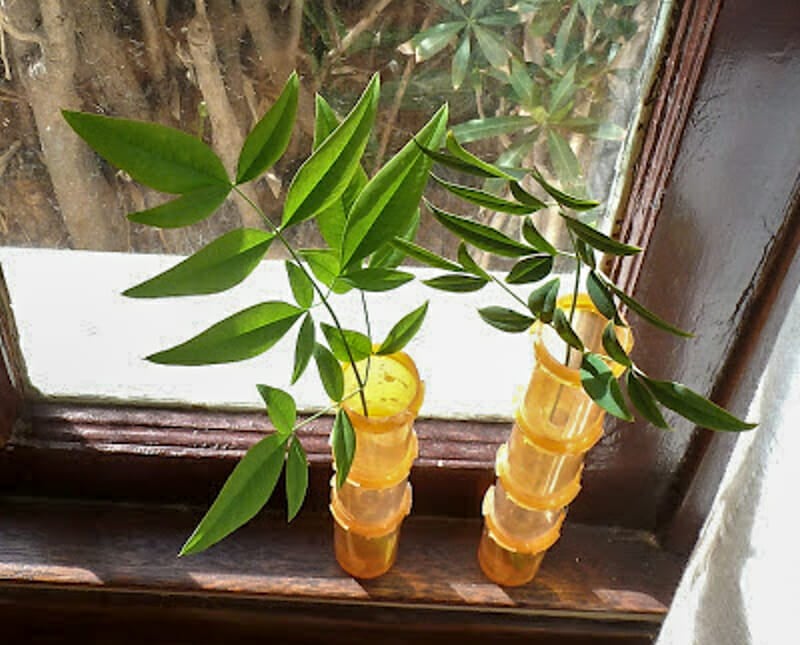 Pill bottles nested to look like bamboo with a bamboo cutting inside.