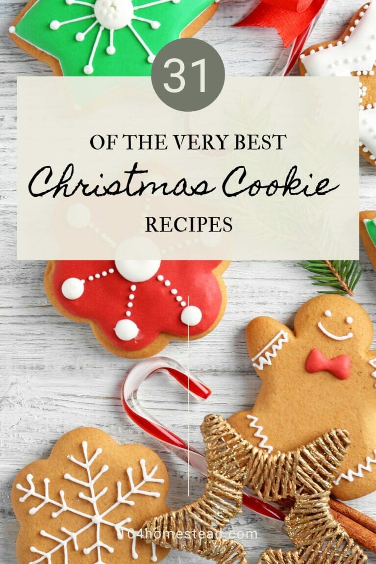 A pinterest-friendly graphic promoting my post on 31 of the very best Christmas cookie recipes.
