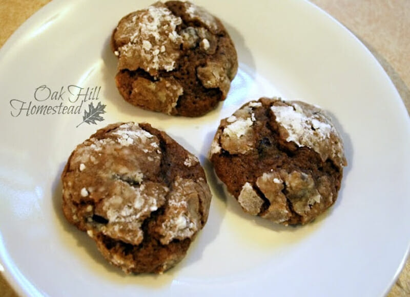 Chocolate Crinkle Cookies