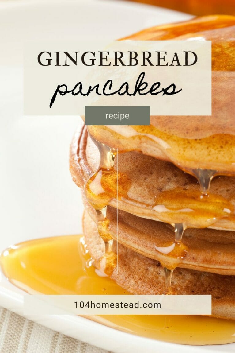 A pinterest-friendly graphic for my gingerbread pancakes recipe.