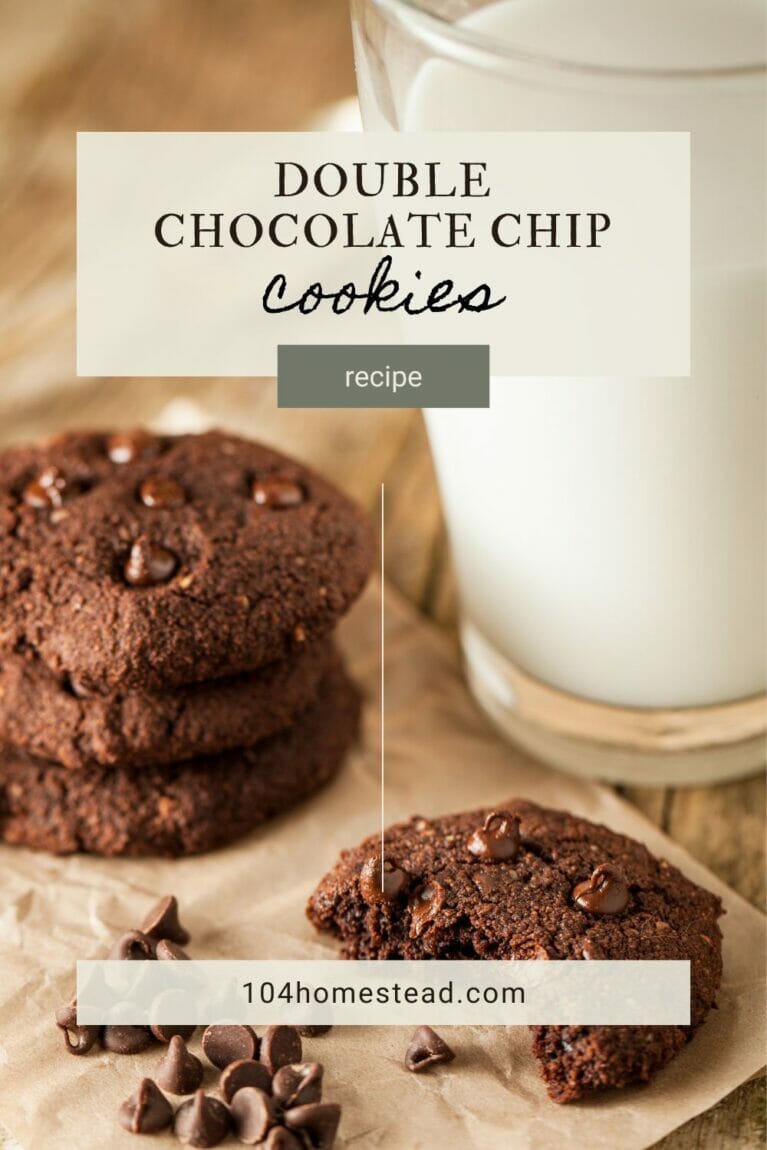 A pinterest-friendly graphic for my double chocolate chip cookie recipe.
