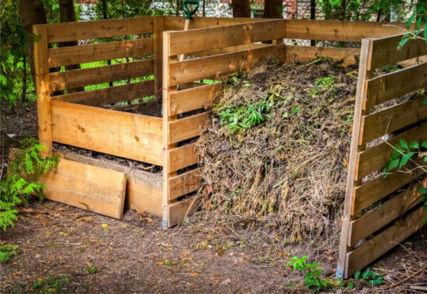 Is Urine Good for Compost? What to Know Before You Pee