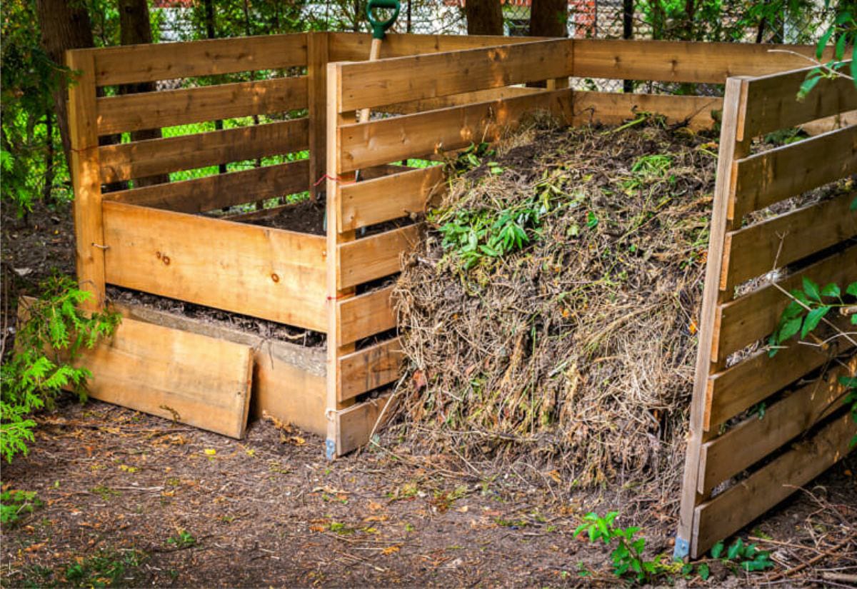 A large wooden compost bin filled with decomposing garden waste and green clippings, with a shovel resting inside—typical of a working homestead compost system.