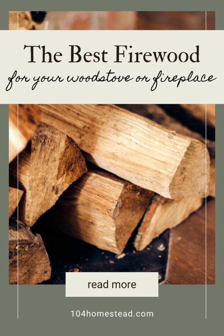 A pinterest-friendly graphic for the best firewood for your wood stove or fireplace.