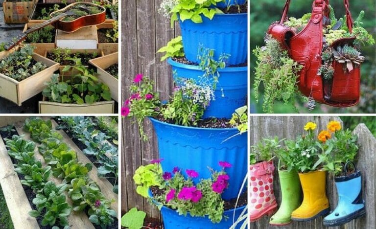 Container Gardening with Fun Planters to Suit Your Style