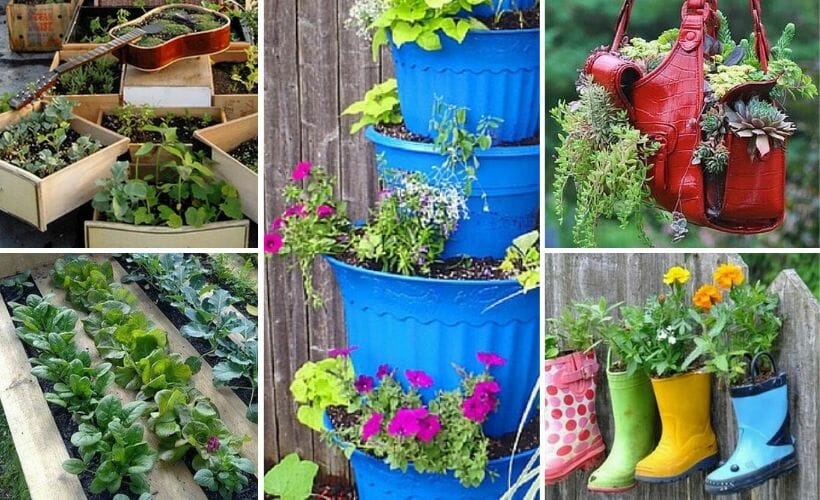 A collage of unique planters for container gardening.